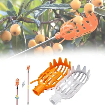 Нова Градинска кошница с приставка за събиране на плодове, пластмасов инструмент за събиране на плодове, висок инструмент за събиране на плодове, мушмули, Бейберри